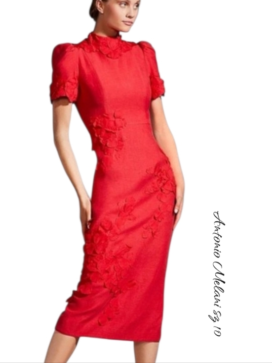 ANTONIO MELANI Dresses & Skirts - NWT Antonio Melani Summer Floral Applique Midi Dress Sz 10